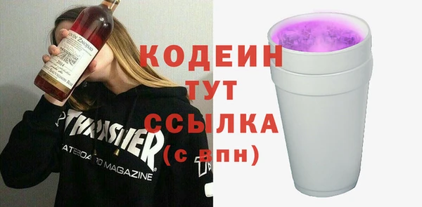 хмурый Магас