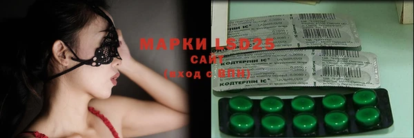 хмурый Магас