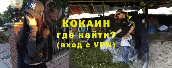 хмурый Магас