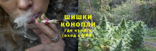 молекула духа Майский