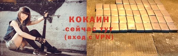 молекула духа Майский