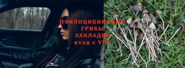 бутират Лихославль