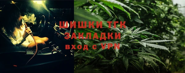молекула духа Майский