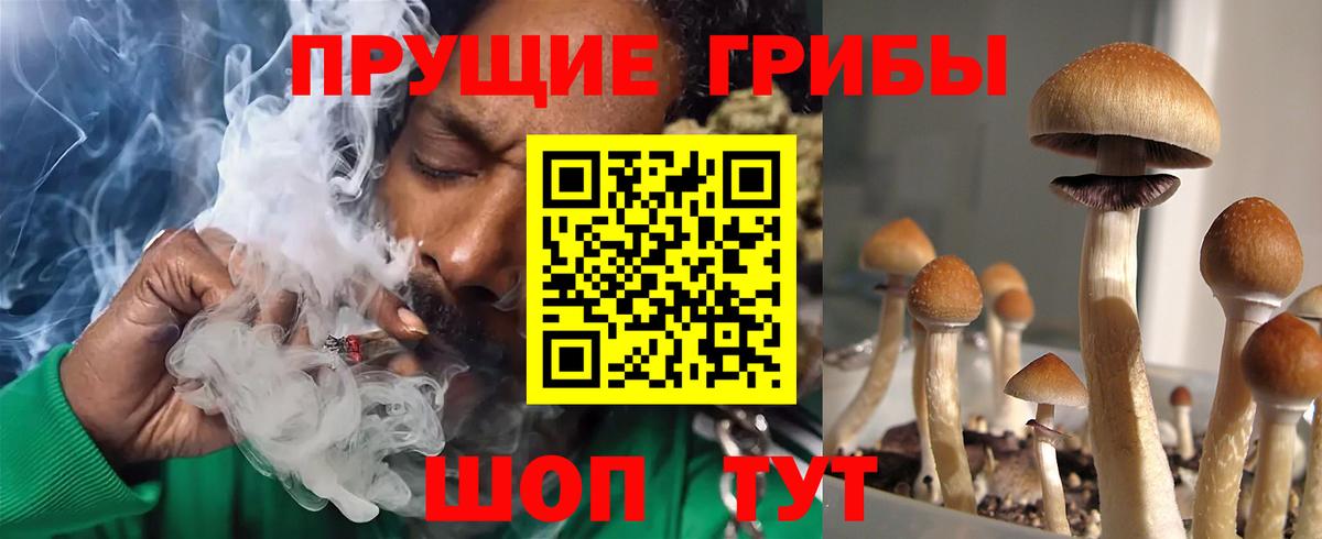 Галлюциногенные грибы Magic Shrooms Новоалександровск